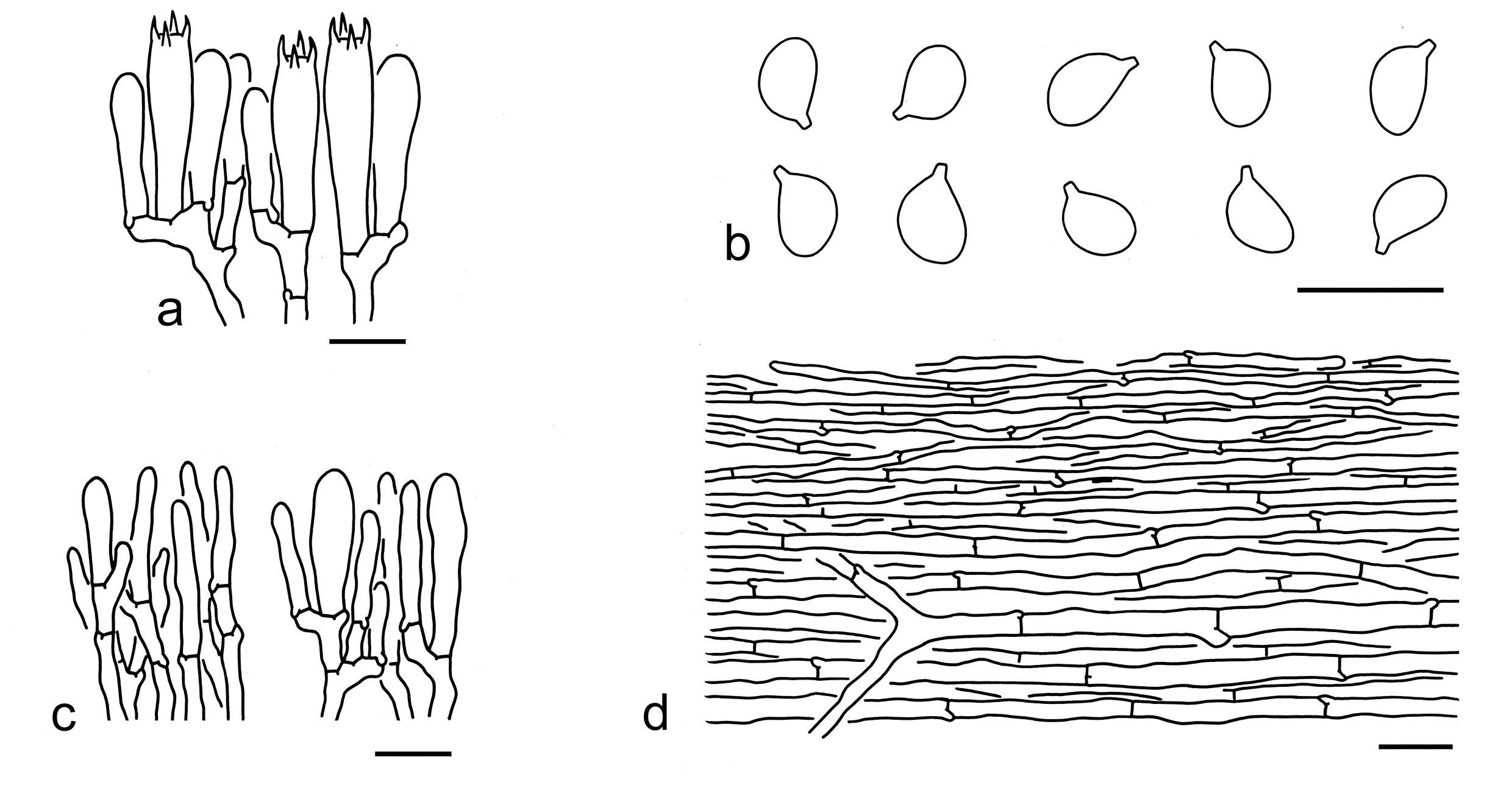 Figure 76
